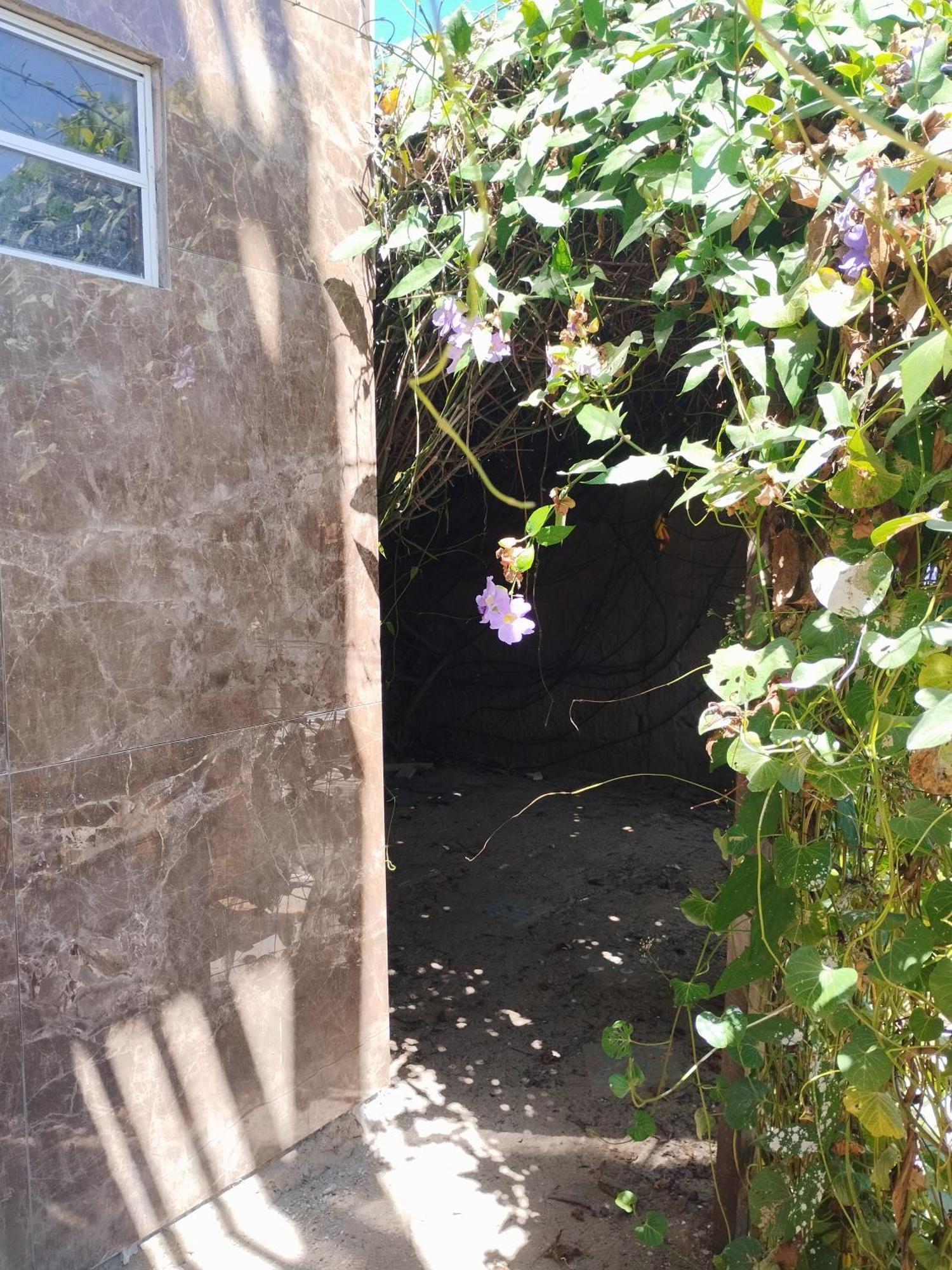 Seomarujo Rent A Room Morro Branco เบเบรีเบ ภายนอก รูปภาพ